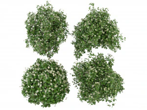 Collection Plant Vol 357- Blender Model 3D Model