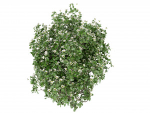 Collection Plant Vol 357- Blender Model Modello 3D