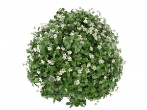 Collection Plant Vol 357- Blender Model 3D Model