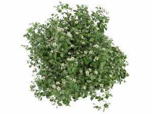 Collection Plant Vol 357- Blender Model Modello 3D