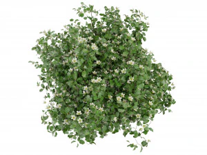 Collection Plant Vol 357- Blender Model 3D Model