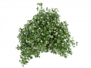 Collection Plant Vol 357- Blender Model 3D Model
