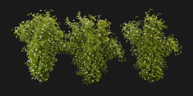 Collection Plant Vol 358 - Blender Model 3D-Modell .c4d .max .obj .3ds .fbx .stl .blend 
