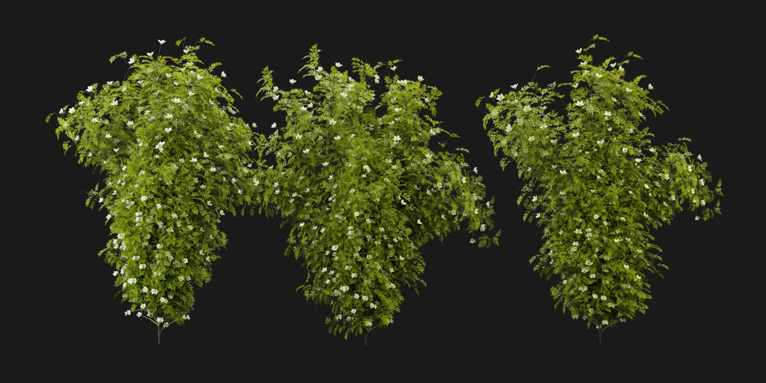 Collection Plant Vol 358 - Blender Model 3D Model .c4d .max .obj .3ds .fbx .stl .blend 
