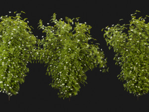 Collection Plant Vol 358 - Blender Model 3D Model