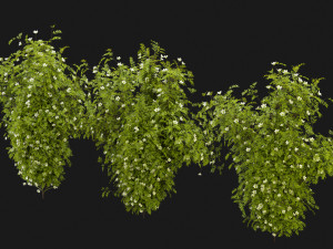 Collection Plant Vol 358 - Blender Model 3D-Modell