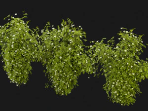 Collection Plant Vol 358 - Blender Model 3D Model