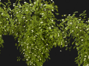 Collection Plant Vol 358 - Blender Model 3D-Modell