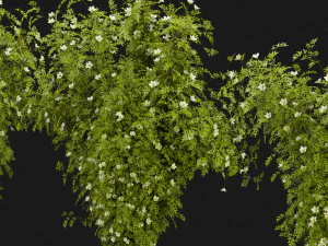Collection Plant Vol 358 - Blender Model 3D Model