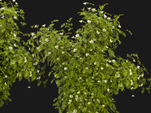Collection Plant Vol 358 - Blender Model 3D-Modell