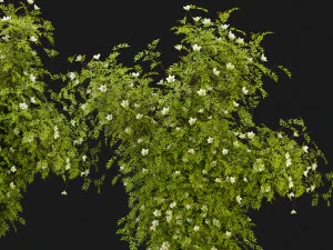 Collection Plant Vol 358 - Blender Model 3D Model