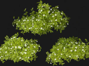 Collection Plant Vol 358 - Blender Model 3D Model