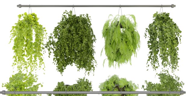 Collection Plant Vol 360- Blender Model Modelo 3D .c4d .max .obj .3ds .fbx .stl .blend 