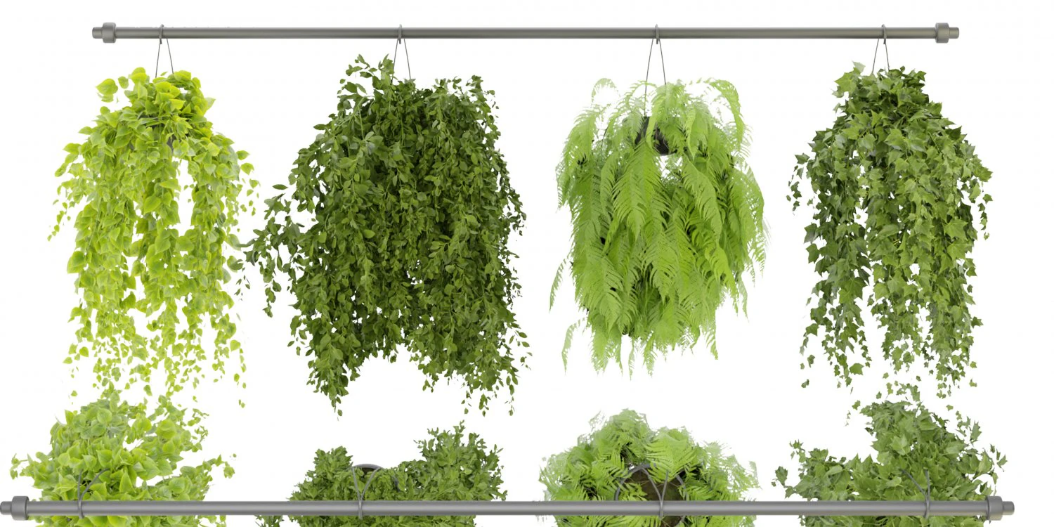 Collection Plant Vol 360- Blender Model 3D Model .c4d .max .obj .3ds .fbx .stl .blend 
