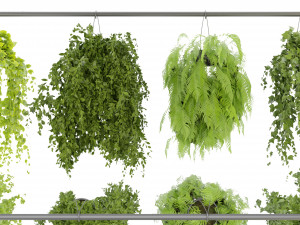 Collection Plant Vol 360- Blender Model Model 3D