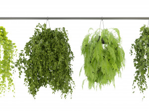 Collection Plant Vol 360- Blender Model Modelo 3D