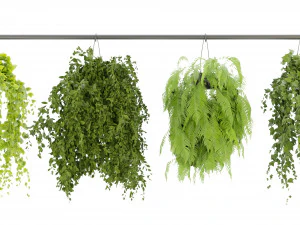Collection Plant Vol 360- Blender Model 3D Model
