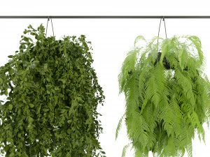 Collection Plant Vol 360- Blender Model 3D Model
