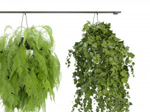 Collection Plant Vol 360- Blender Model 3D Model