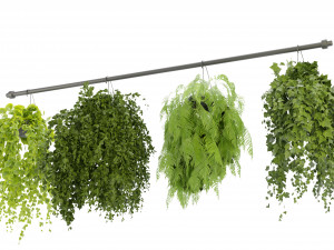 Collection Plant Vol 360- Blender Model Modelo 3D