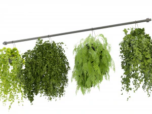 Collection Plant Vol 360- Blender Model 3D Model