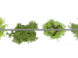 Collection Plant Vol 360- Blender Model Modelo 3D