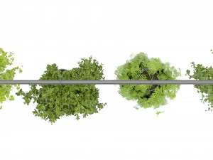Collection Plant Vol 360- Blender Model 3D Model