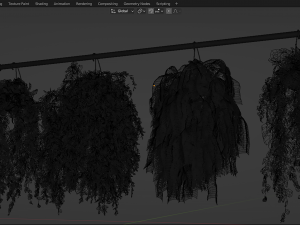 Collection Plant Vol 360- Blender Model Modelo 3D
