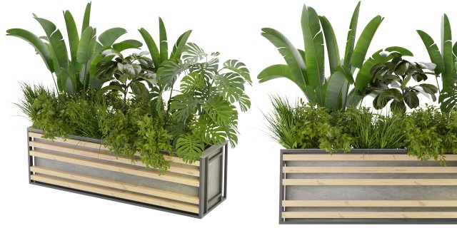 Collection Plant Vol 361 - Blender Model 3Dモデル .c4d .max .obj .3ds .fbx .stl .blend 