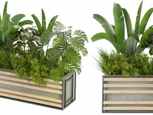 Collection Plant Vol 361 - Blender Model 3D Model