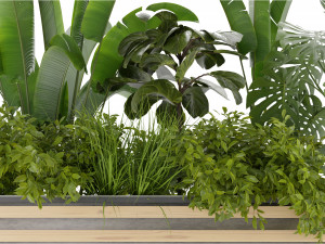 Collection Plant Vol 361 - Blender Model 3Dモデル