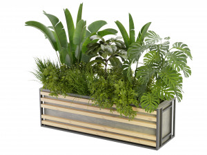 Collection Plant Vol 361 - Blender Model 3Dモデル