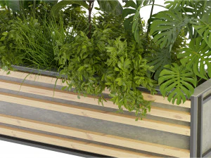 Collection Plant Vol 361 - Blender Model 3D Model