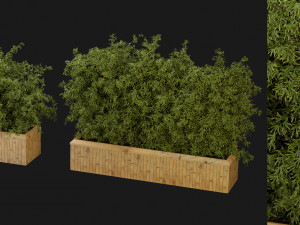 Collection Plant Vol 362 - Blender Model 3D Model