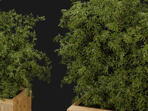 Collection Plant Vol 362 - Blender Model Modelo 3D