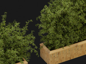 Collection Plant Vol 362 - Blender Model Modelo 3D