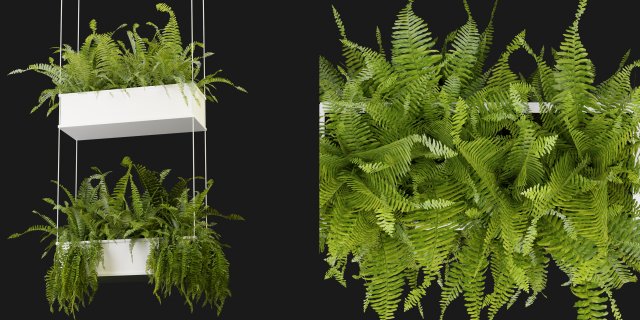 Collection Plant Vol 363 - Blender Model Modelo 3D .c4d .max .obj .3ds .fbx .stl .blend 