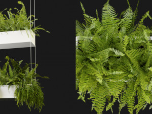Collection Plant Vol 363 - Blender Model 3D-Modell