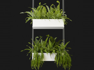 Collection Plant Vol 363 - Blender Model Modelo 3D