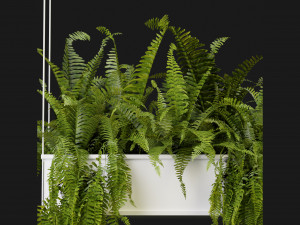 Collection Plant Vol 363 - Blender Model Modelo 3D