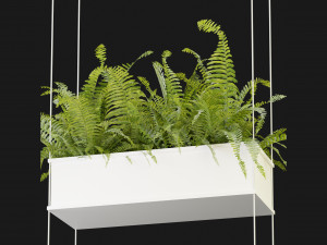 Collection Plant Vol 363 - Blender Model Modelo 3D