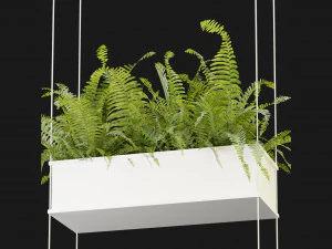 Collection Plant Vol 363 - Blender Model 3D Model
