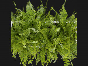 Collection Plant Vol 363 - Blender Model Modelo 3D