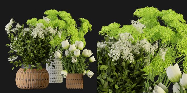 Collection Plant Vol 365 - Blender Model 3Dモデル .c4d .max .obj .3ds .fbx .stl .blend 