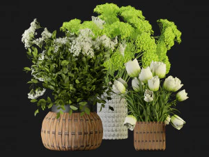 Collection Plant Vol 365 - Blender Model 3D Model