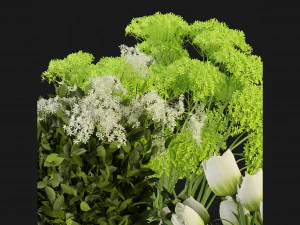 Collection Plant Vol 365 - Blender Model 3D Model