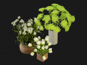 Collection Plant Vol 365 - Blender Model 3Dモデル