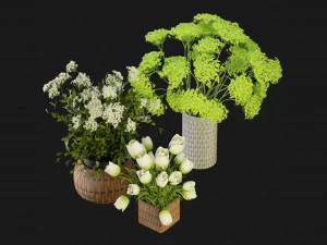Collection Plant Vol 365 - Blender Model 3D Model
