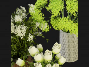 Collection Plant Vol 365 - Blender Model 3D Model