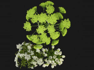 Collection Plant Vol 365 - Blender Model 3D Model